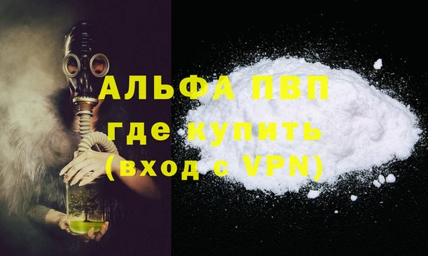 ECSTASY Вяземский